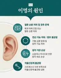 청이담한의원 이명의 원인 정리 브랜드 콘텐츠
