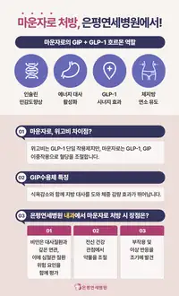 은평연세병원 마운자로 처방 안내 인포그래픽