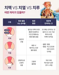 은평연세병원 치핵·치열·치루 비교 인포그래픽