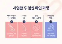 서울IVF여성의원 시험관 시술 후 임신 확인 과정 안내 콘텐츠