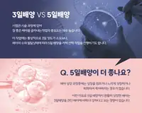 서울IVF여성의원 배아 배양 기간 비교 안내 콘텐츠