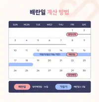 서울IVF여성의원 배란일 계산 방법 안내 콘텐츠