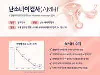 서울IVF여성의원 난소나이검사 AMH 안내 콘텐츠